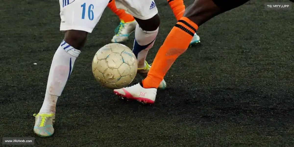 华体会官方💪突破极限，你的潜能远不止于此！